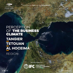 Perception of the Business Climate in Tangier Tetouan Al Hoceima