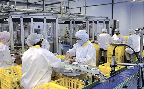 Food production