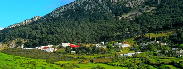 Milieu Rural
